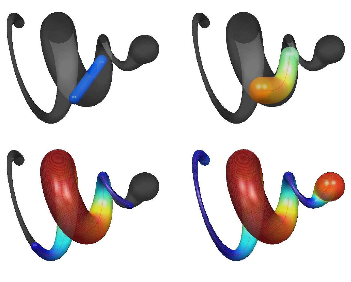 10 — 3d evolution of a medial convolution surface on