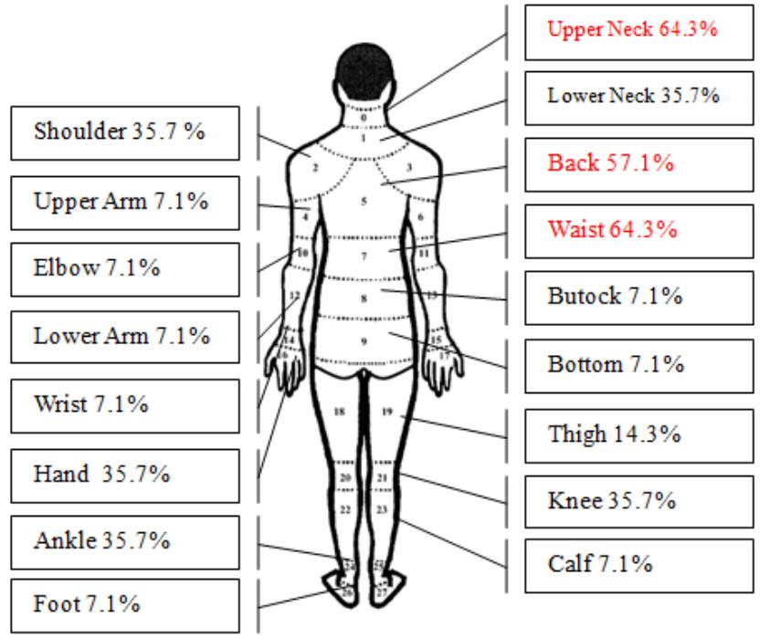 Nordic Body Map.pdf (PDF) Workload Analysis by Using Nordic Body Map, Borg RPE and NIOSH ...