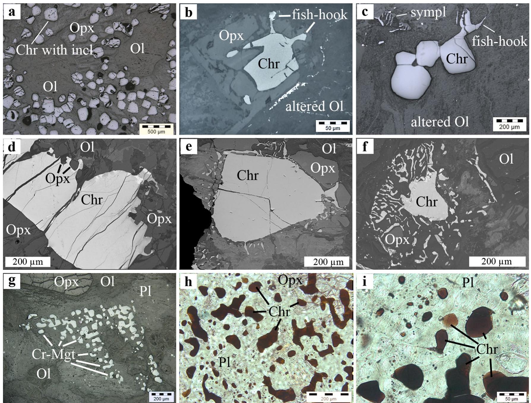 Sub Inclusions (PDF) Bushveld symplectic and sieve-textured chromite is a result of ...