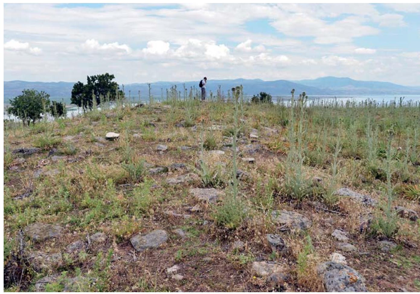 FIGURE 21: The uppermost fortification walls of Kaymakci in 2012 (Luwian Studies #0178). 