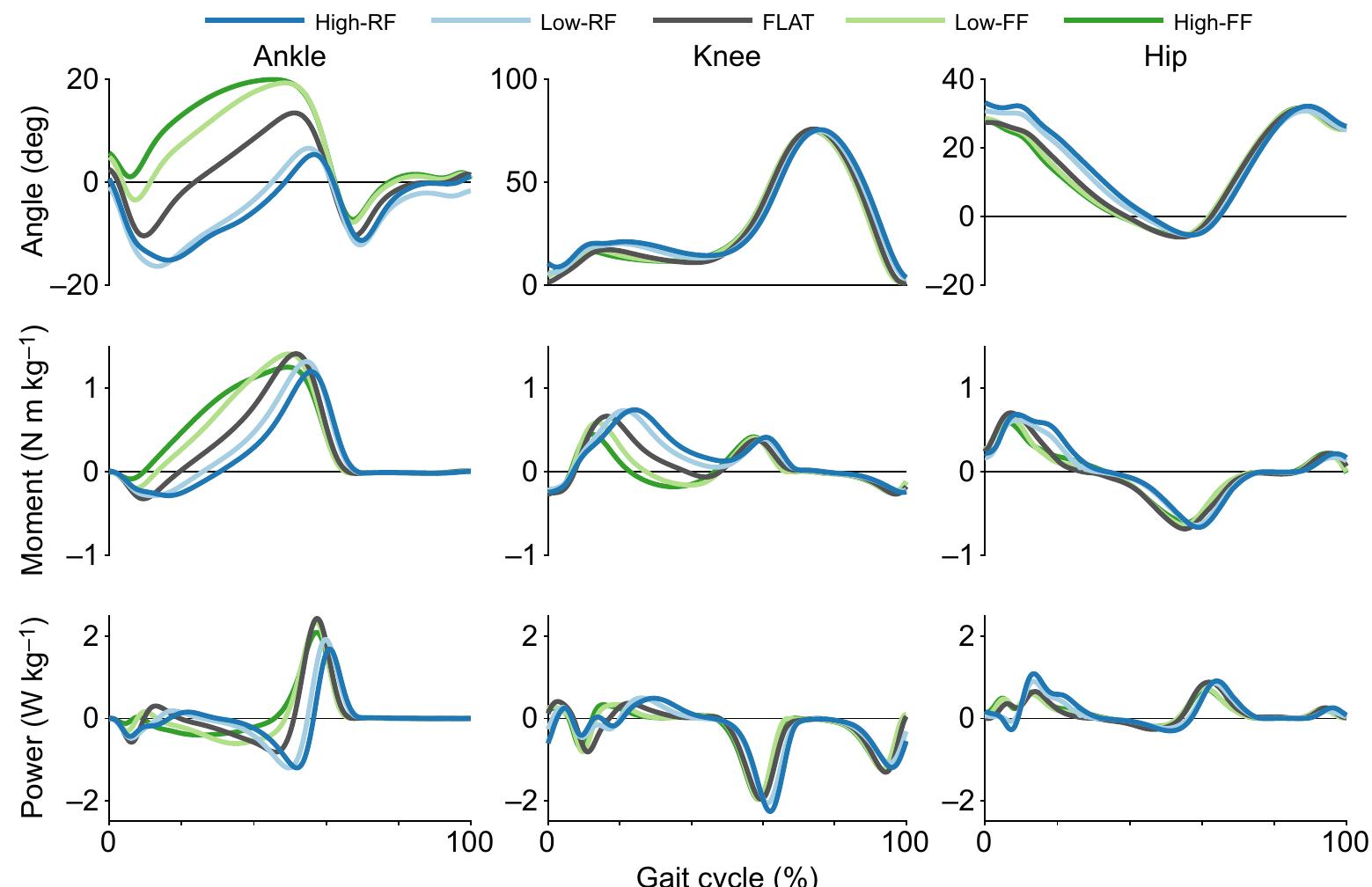 Figure 2 - Lower limb biomechanical analysis during an