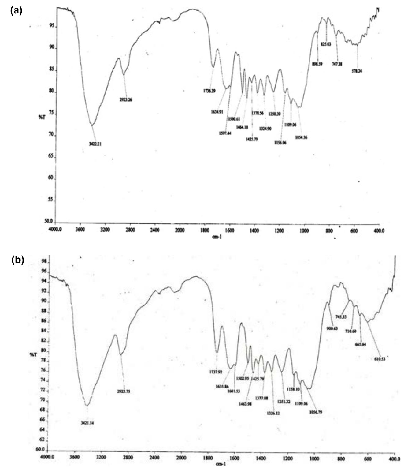 (PDF) A brief study of adsorption of Congo red dye over saw dust of ...