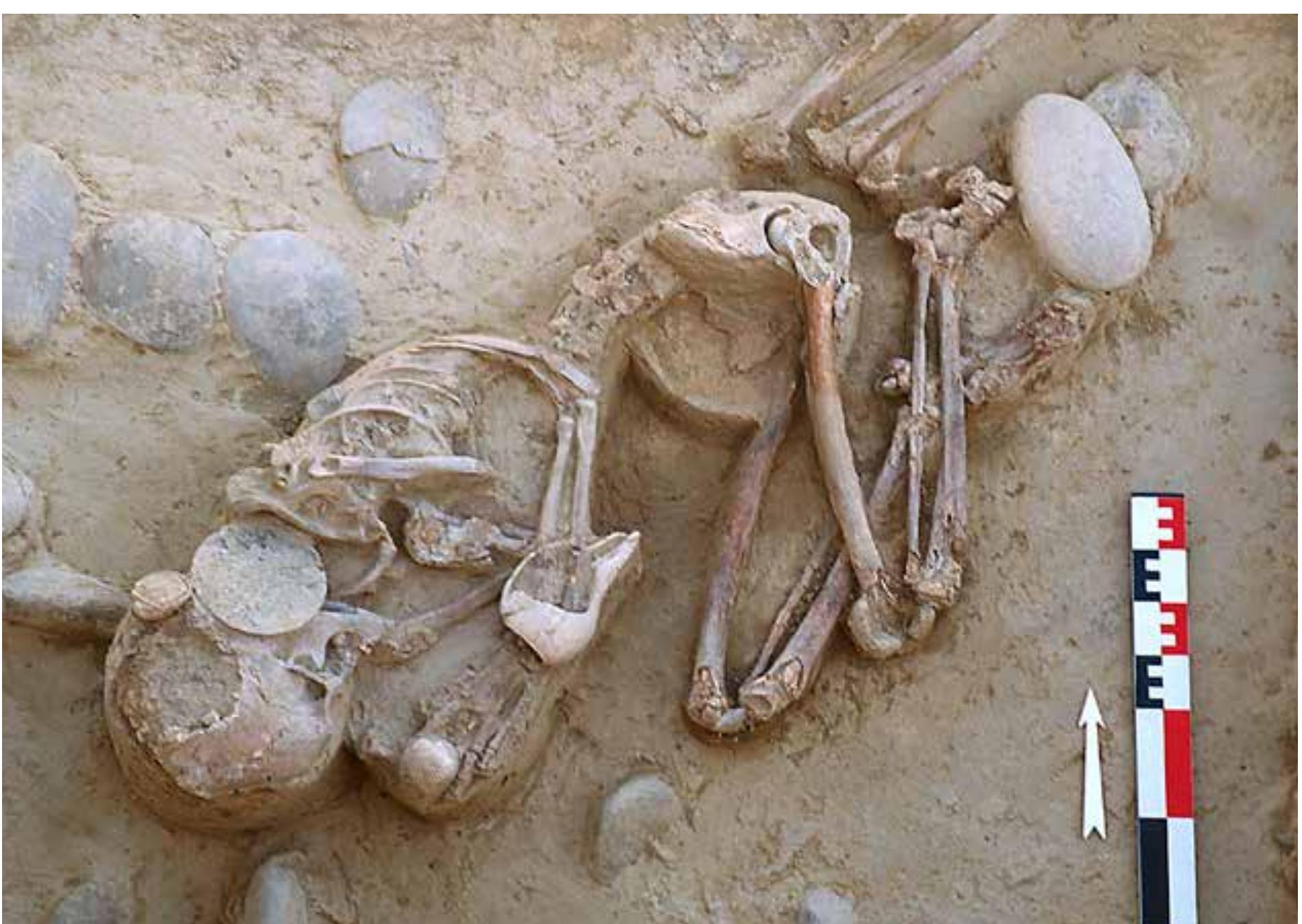 Period II  Period II and Period Illa. Period Il dates to the first half of the 4" millennium BCE, while Period Illa comprises the second half and extends into the early 3 millennium BCE. In contrast to Period I, the material assemblages are more abundant and include a larger variety of objects. Pottery, in particular, appears in Period Il, and this new rait, along with the other categories of objects made of clay, bone, stone and copper recovered rom Periods Il and Illa, allows the archaeologist Oo investigate a wider variety of aspects characteristic of the Kech-Makran populations in he 4' millennium BCE than was possible for the previous period. It also provides us with a better understanding of their relationships established with other communities in the Indo-Iranian borderlands by comparing the style of these objects with those observed on the vessels from these communities. 7   Period Il and Period Illa. Period Il dates to the first 