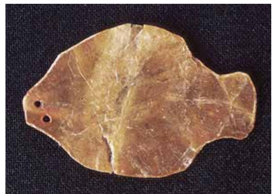 surfaces tend to indicate. This ceramic type is 