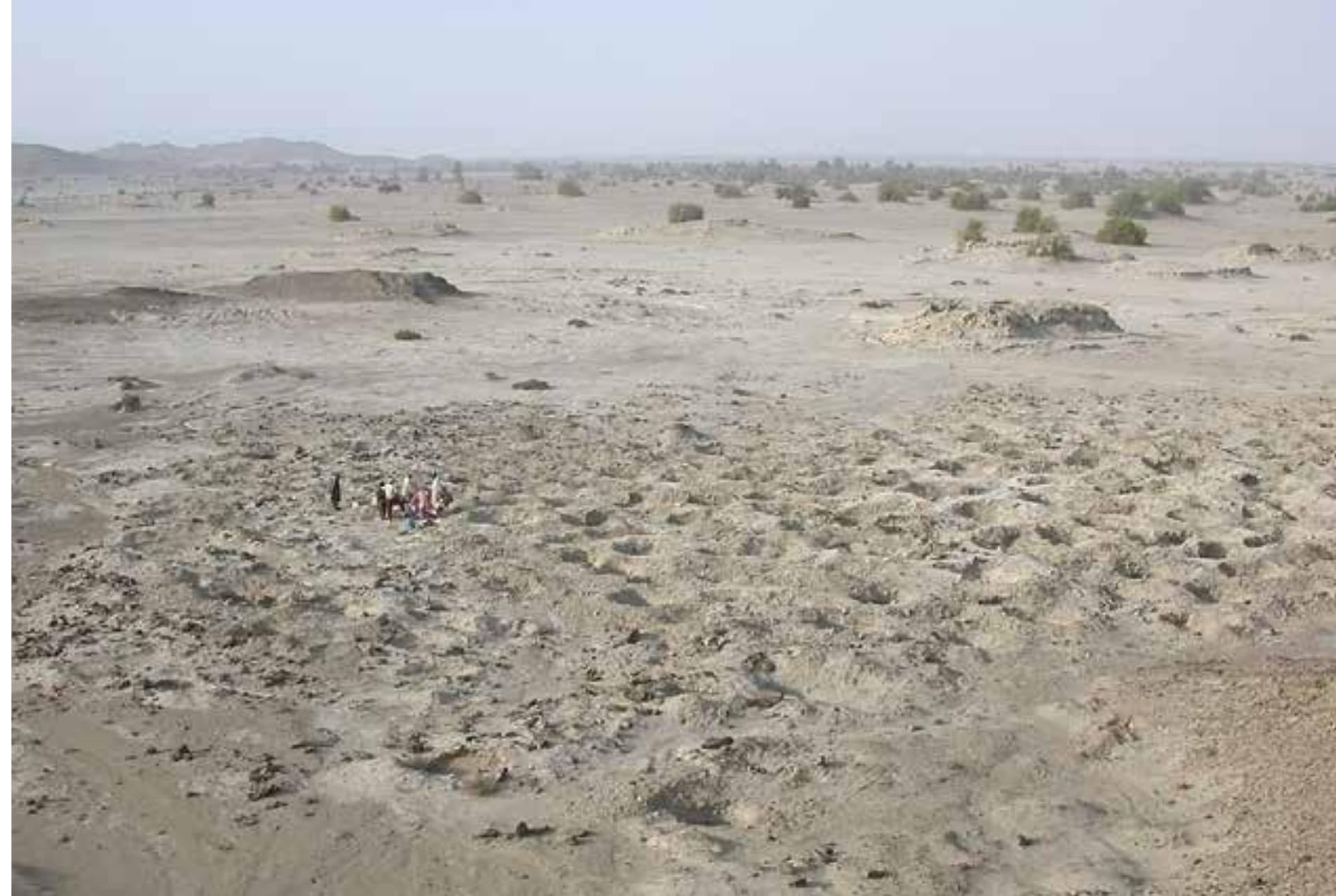 palms, leaves, goats, ibexes, fish, rarely scorpions or bees) are more frequent and diversified than in Period Illa. It is worth noting that plain vessels are frequently observed among the material collected in the graveyards. The Dasht/Emir assemblage also includes a smaller amount of Incised Grey Ware, a new type of ceramic that appears during this period. The forms and decorations of Incised Grey Ware are very limited and consist mostly of small goblets with architectural motifs or the ‘hut’ motif. The complete chaine operatoire of fabrication for the fine painted pottery was not reconstructed, but technological observations show that the coiling technique combined with a shaping and finishing on a rotative device were used to form the vessels. Further experiments should be conducted to determine, whether a potter’s wheel was used for shaping certain types of vessels. Overall, the ceramics were also better fired and the colours of their surfaces (light grey to bluish grey, pink, buff, red) are  appearance of new vessel forms and decorative techniques**. The most emblematic pottery produced during this period is the Dasht/Emir Ware, a production characterised by painted vessels with a very fine paste. The shapes include bowls with very thin walls (1-2 mm_ thick; cat. nos. 680-689; Fig. 11.20), small goblets, globular pots (cat. nos. 704-708), and canister pots (cat. nos. 709-711). As in Period Illa, regularity in wall thickness shows standardisation in ceramic production, although the degree of standardisation seems higher in Period Illb compared to Period Illa. The paint colour is mostly black to brown, more rarely reddish brown. The bowls are often painted on the upper part of their outer surfaces and sometimes on their insides or on both surfaces. The decorations mainly consist of geometric motifs (mostly triangles and lozenges) arranged in friezes. Decorative patterns with vegetal and animal motifs (trees,  appearance of new vessel forms and decorative 