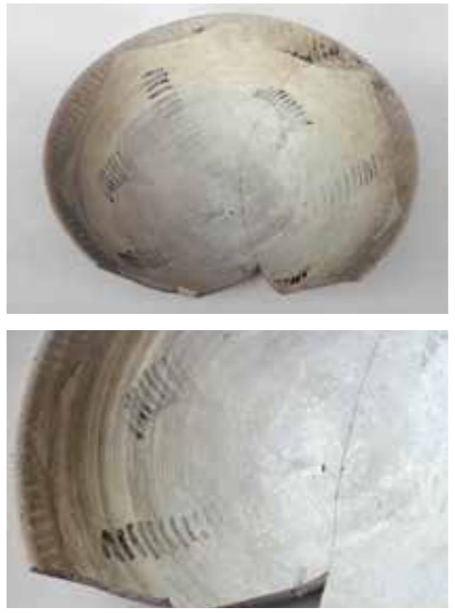 horizontal bands were painted in the u  pper  part of the outer surface. The quadripartite decoration on the inner surface consists  of four palm trees with open s and branches with short vertical le pointing down.  ems aves  Similar decorations were identified  on  medium-sized and large bowls collected  on Dasht IIIb sites. See: Didier 2013, Figs. 69; 76 Doc. No. 0604—582  Earthenware, grey; w/m  Size (cm): d. (rim) 14.5; d. (base) 5.9; h. 9.1 Small shallow bowl with slightly S-shaped profile, outward-turned rim and flat base. Three horizontal bands decorate the upper outer surface. Painted on the inner surface below the rim are eight hanging, double contoured squares. The centre of the base is decorated with a whirl with three palm branches. Similar examples were collected on Dasht Illb sites.   Medium-sized bowl with slightly outward- turned rim and very concave base. Three 
