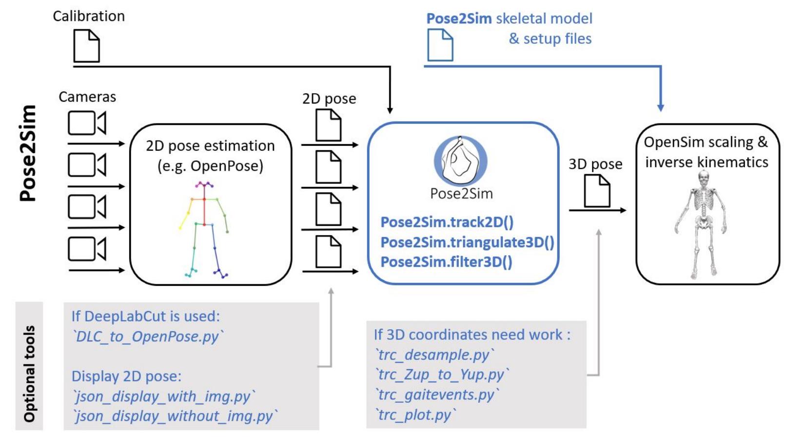 The pose2sim workflow, along with some optional utilities