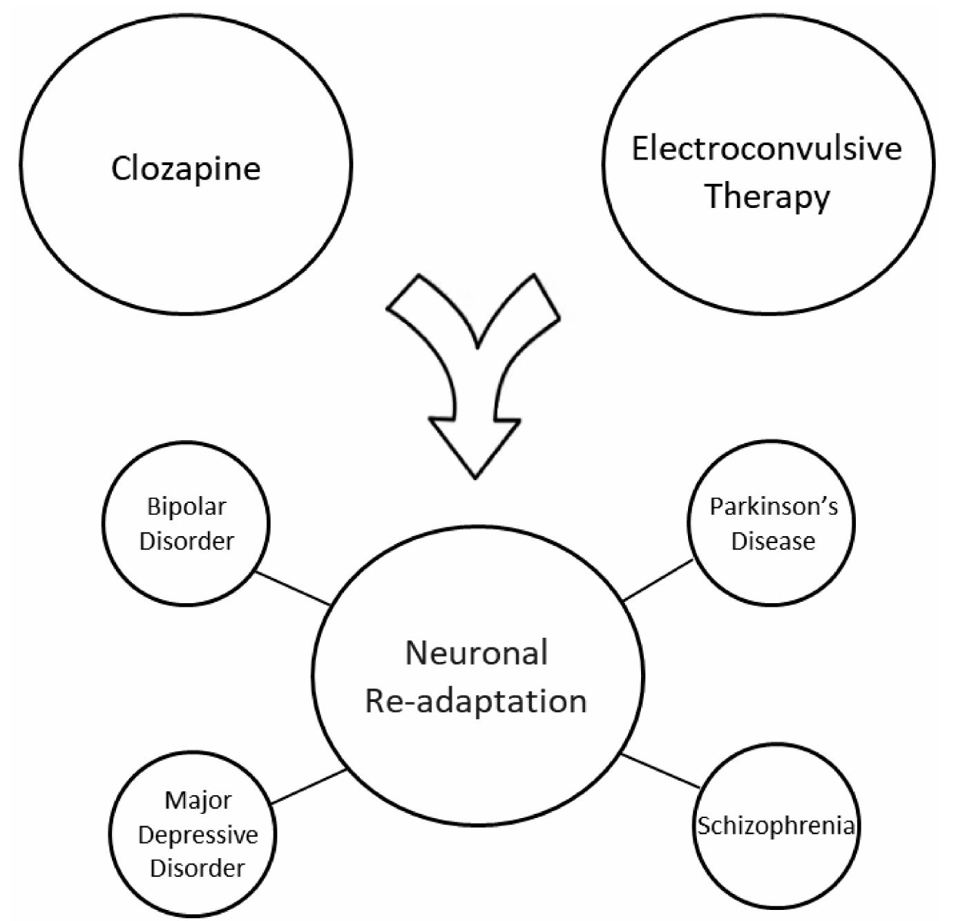 (PDF) Clozapine: Why Is It So Uniquely Effective in the Treatment of a ...
