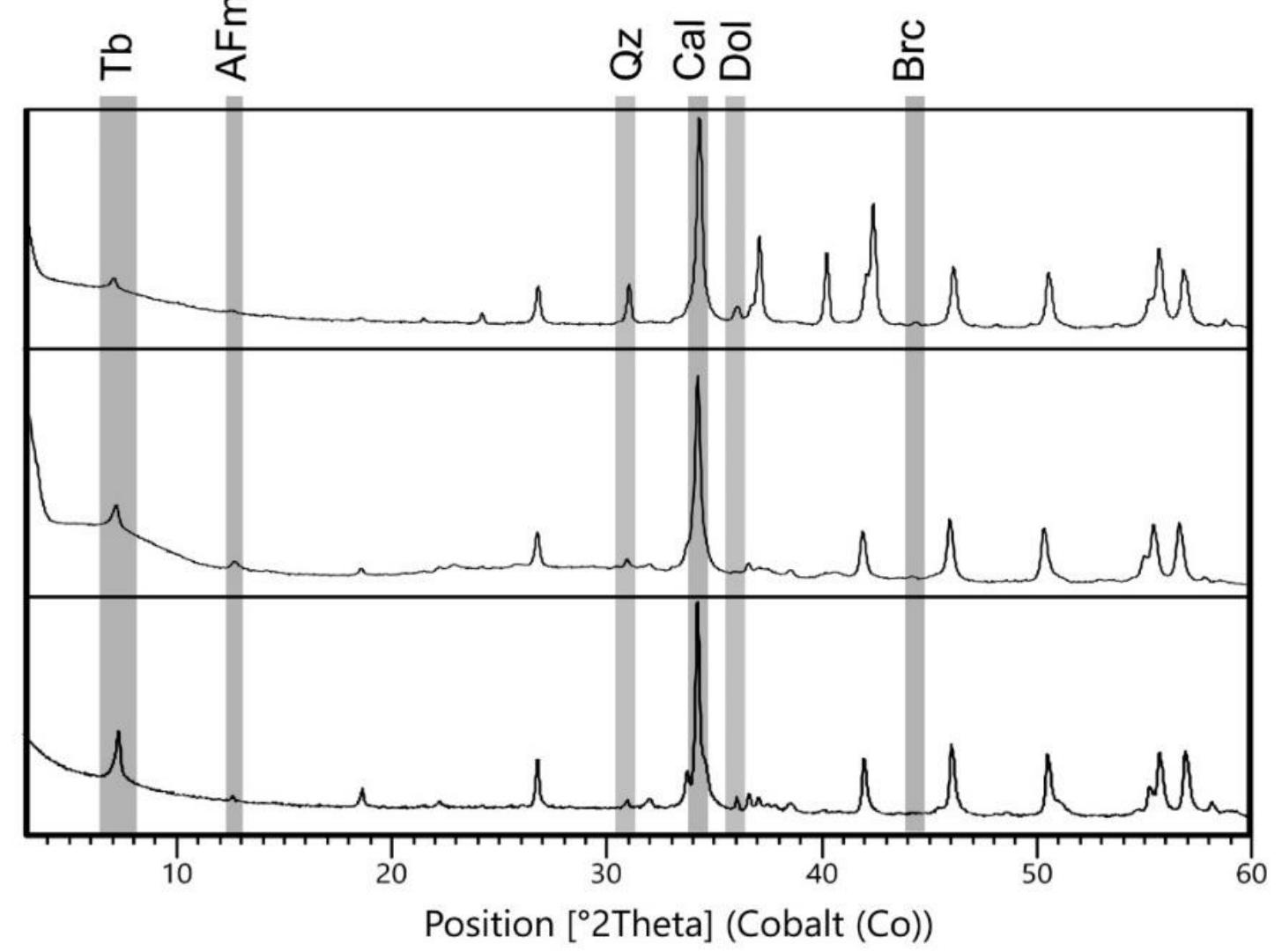 Upper Pattern Sample Figure 8 - from Dilaria S., Secco M., Bonetto J., Ricci G.,