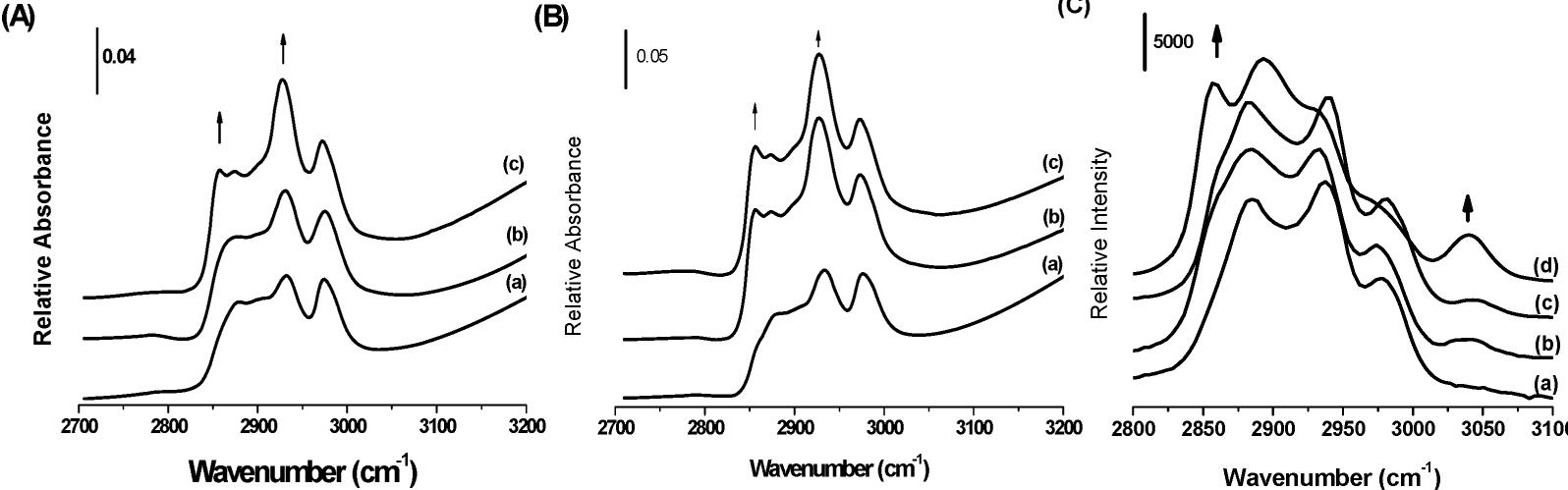 The ftir spectra of the mesostructured silica particles