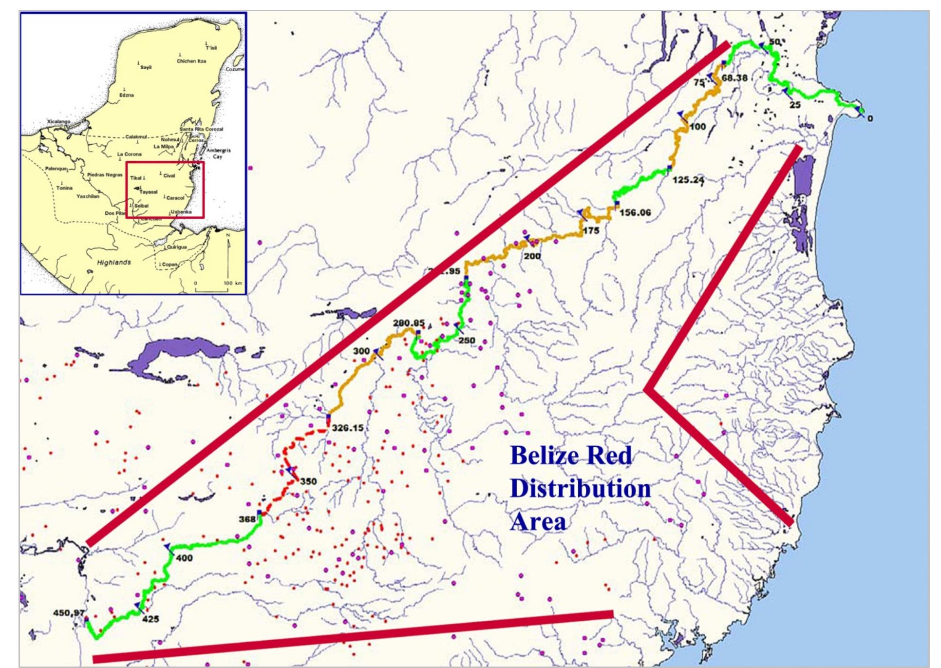 Map of midnight terror cave with pathways indicated by bold