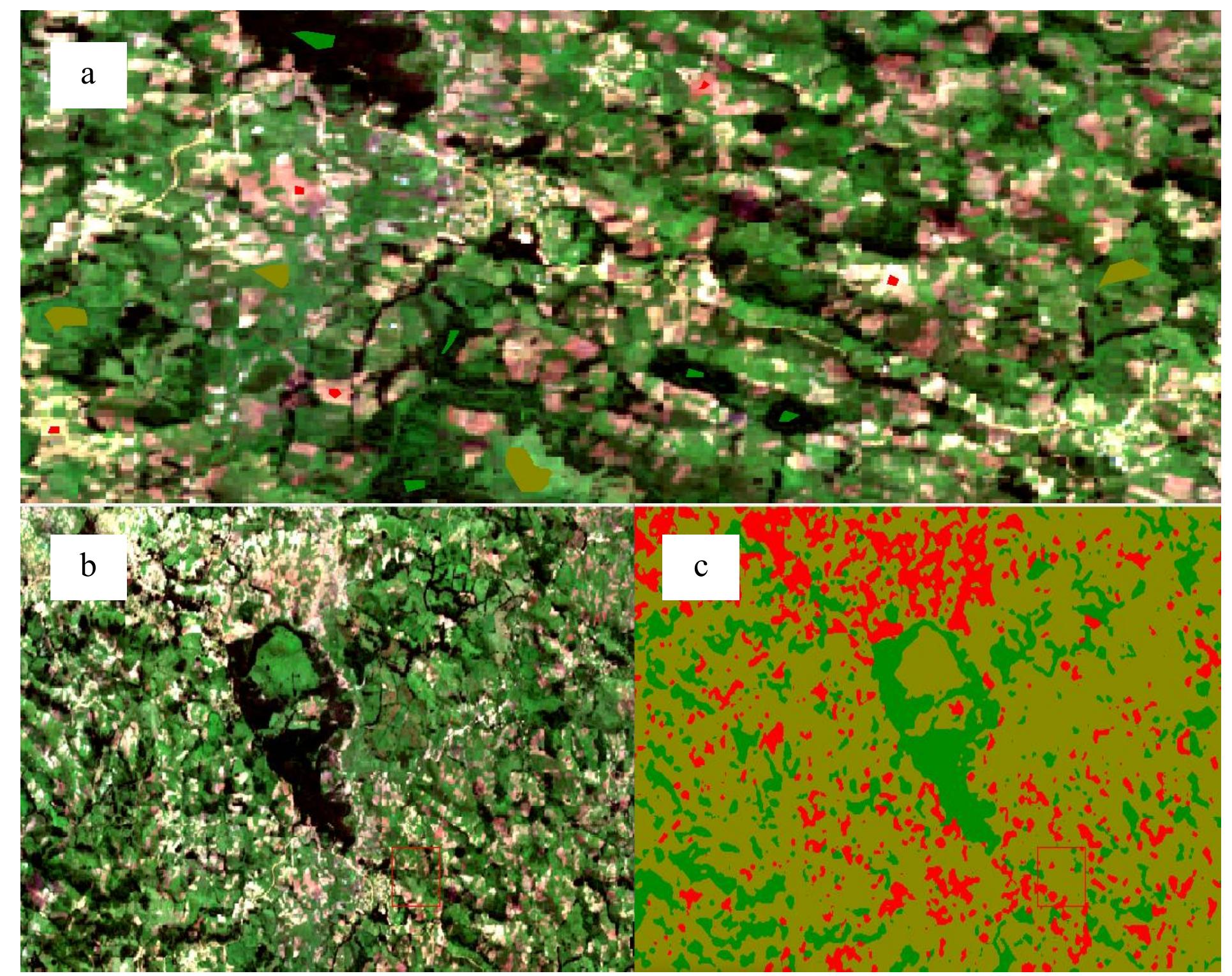 Figure 5 - from Dynamics of Land Use and Land Cover Change