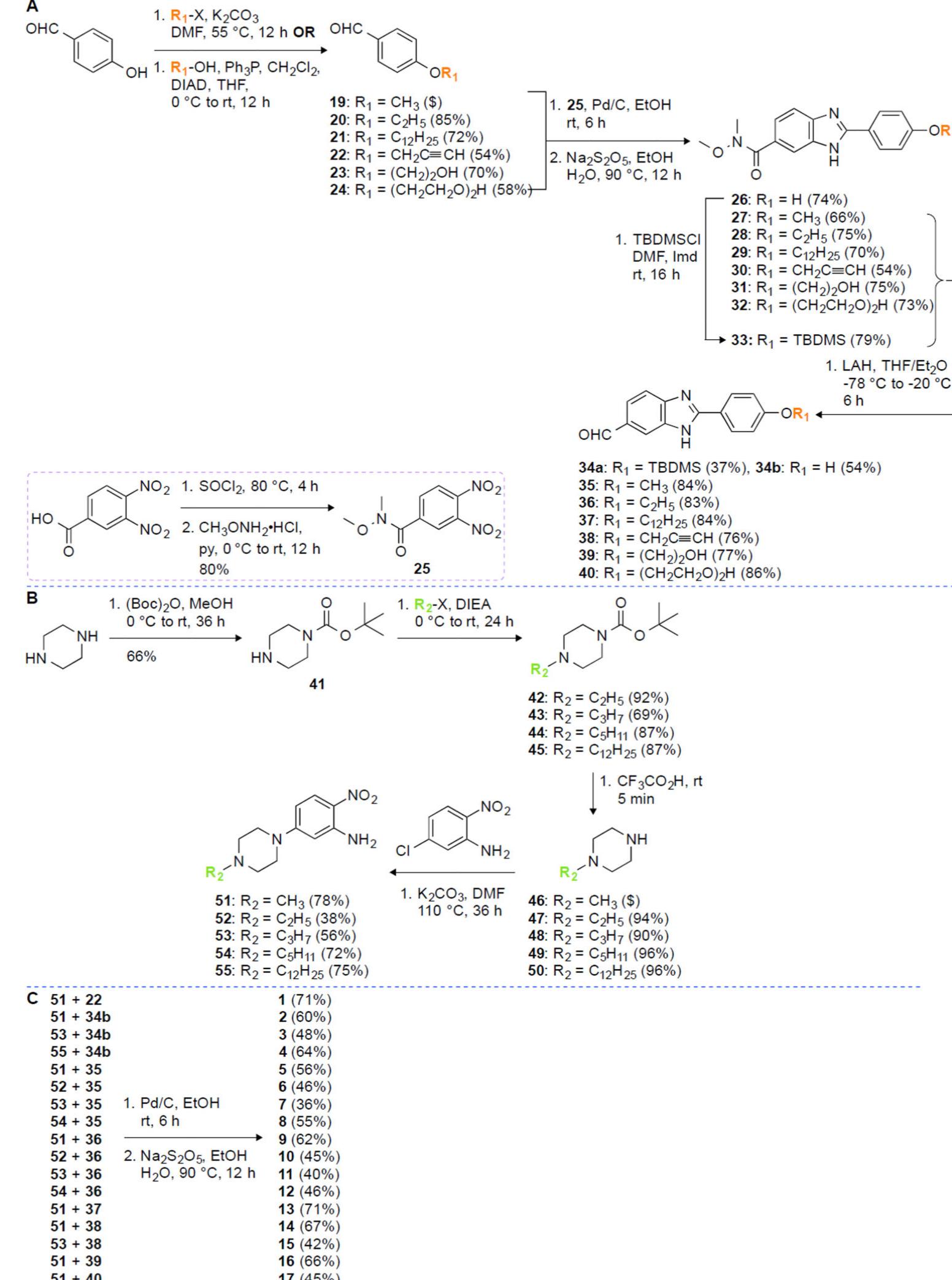 (PDF) Synthesis and investigation of novel benzimidazole derivatives as ...