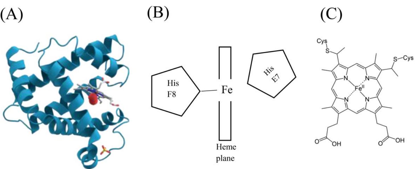(PDF) Effect of high pressure treatment on the color of fresh and ...