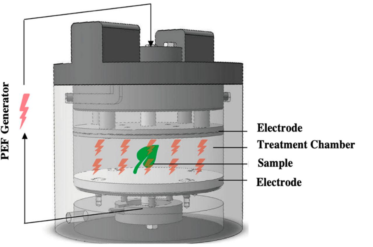 Schematic diagram of a typical pef chamber (reproduced from