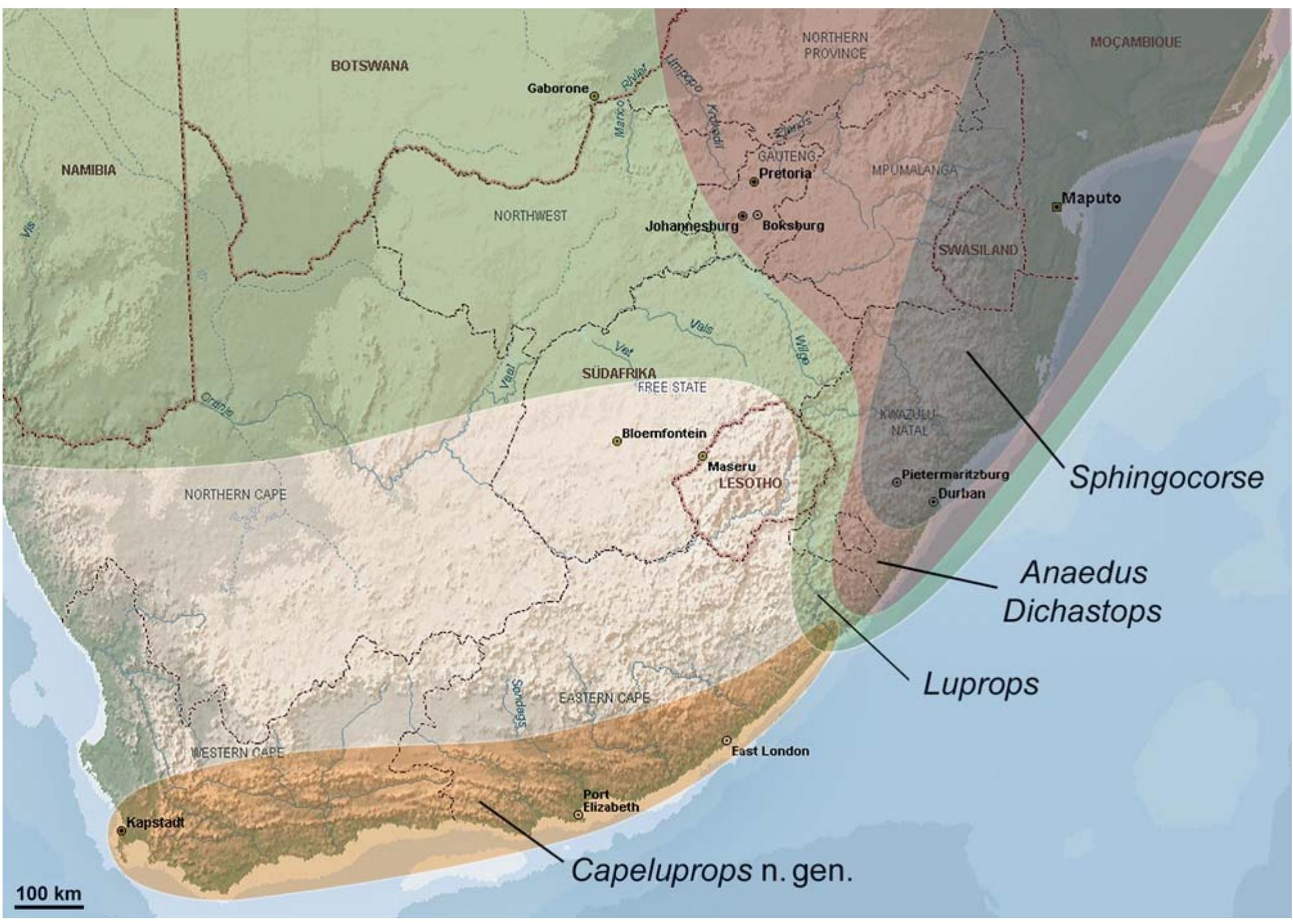 (PDF) Revision of the genera Anaedus, Dichastops, Luprops and ...