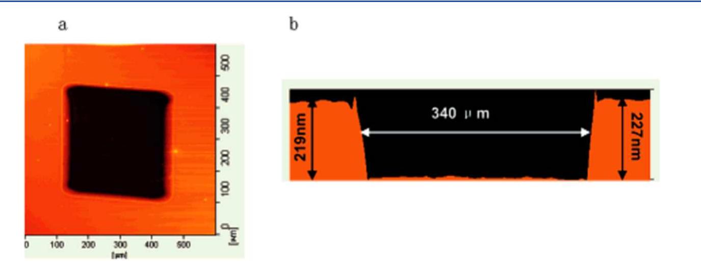 (PDF) Imaging mass spectrometry on the nanoscale with cluster ion beams