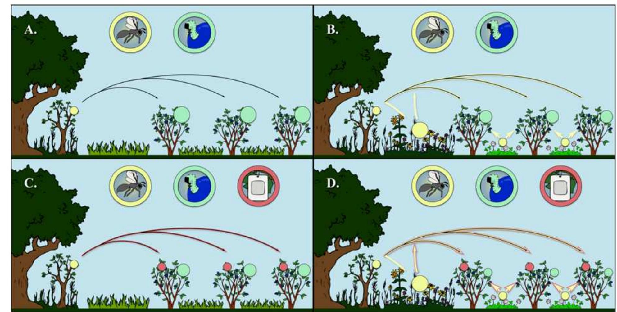 (PDF) Manipulation of Natural Enemies in Agroecosystems: Habitat and ...
