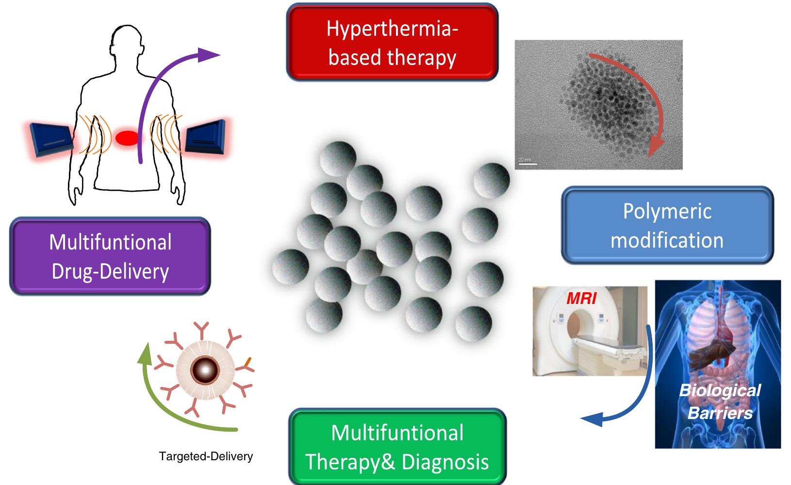 (PDF) Polymeric nanoparticles for therapy and imaging