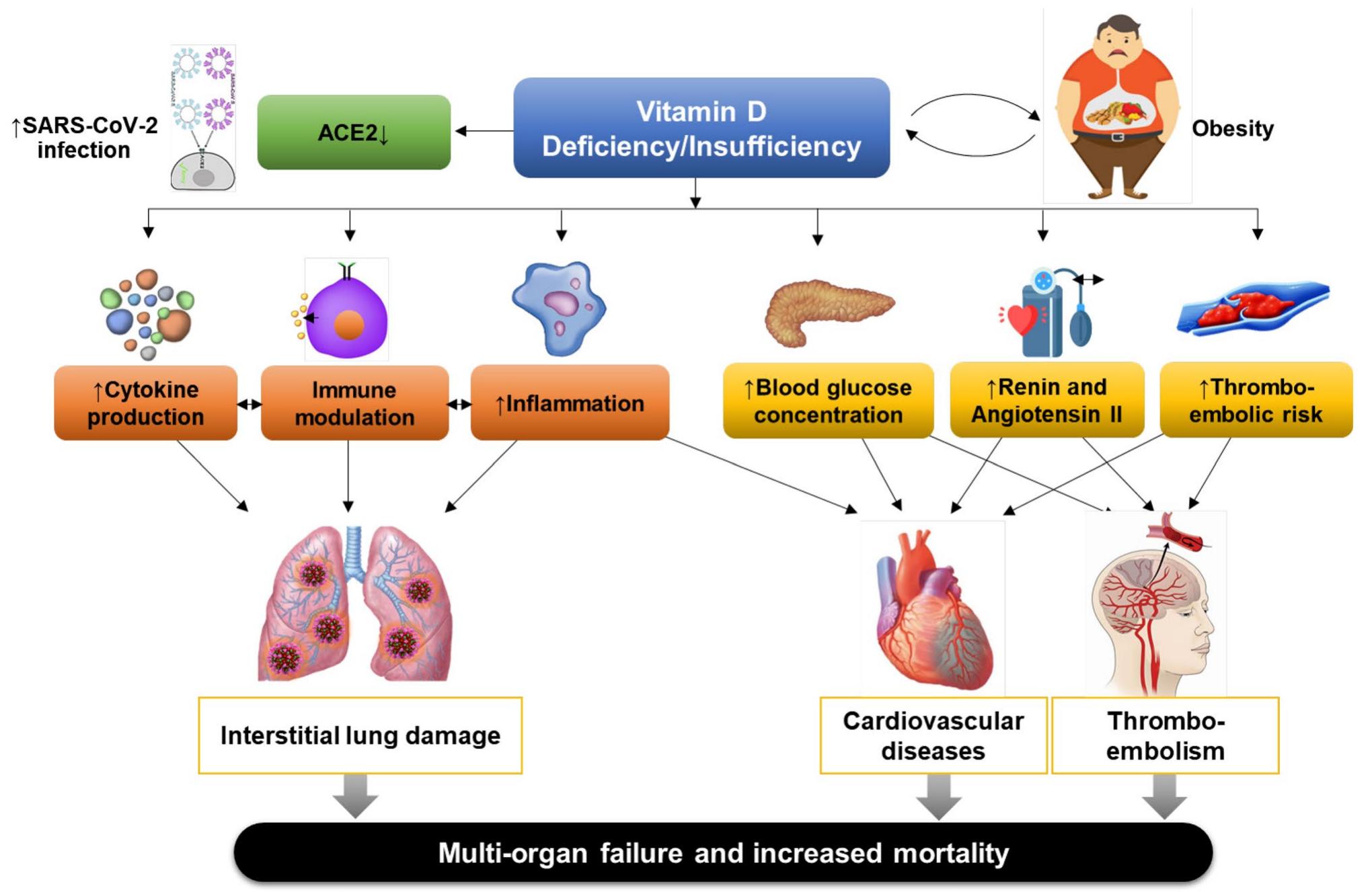 (PDF) Association of vitamin D status with COVID-19 and its severity