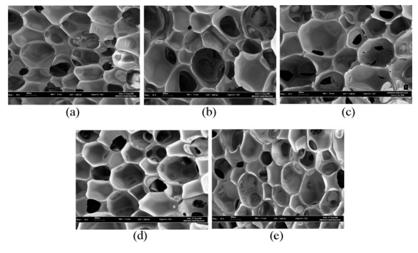 Pphp Polymer Sem micrographs of puf samples prepared at different