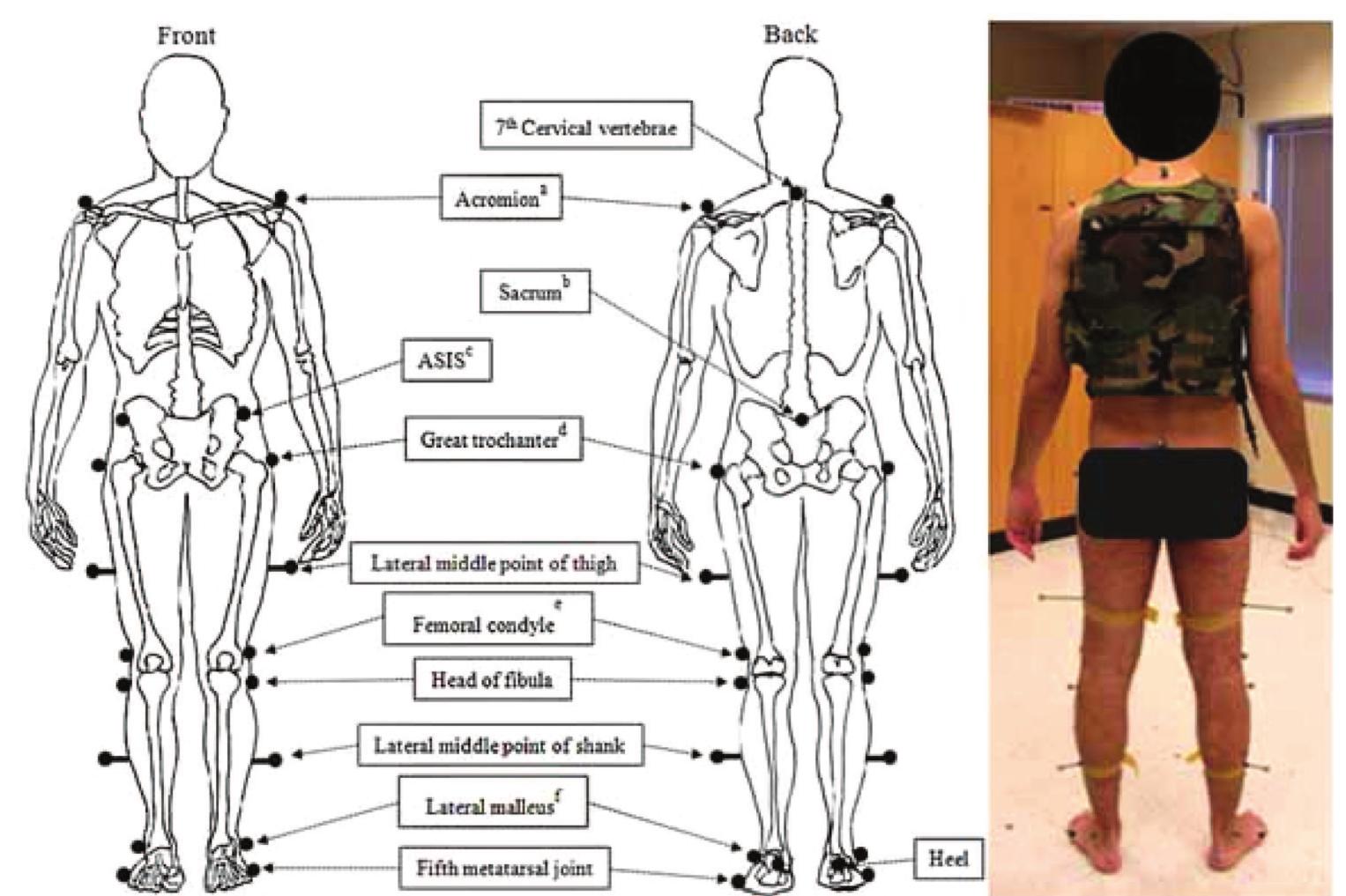 (PDF) Effects of Body Armor and Load Carriage on Lower Limb Joint Movement