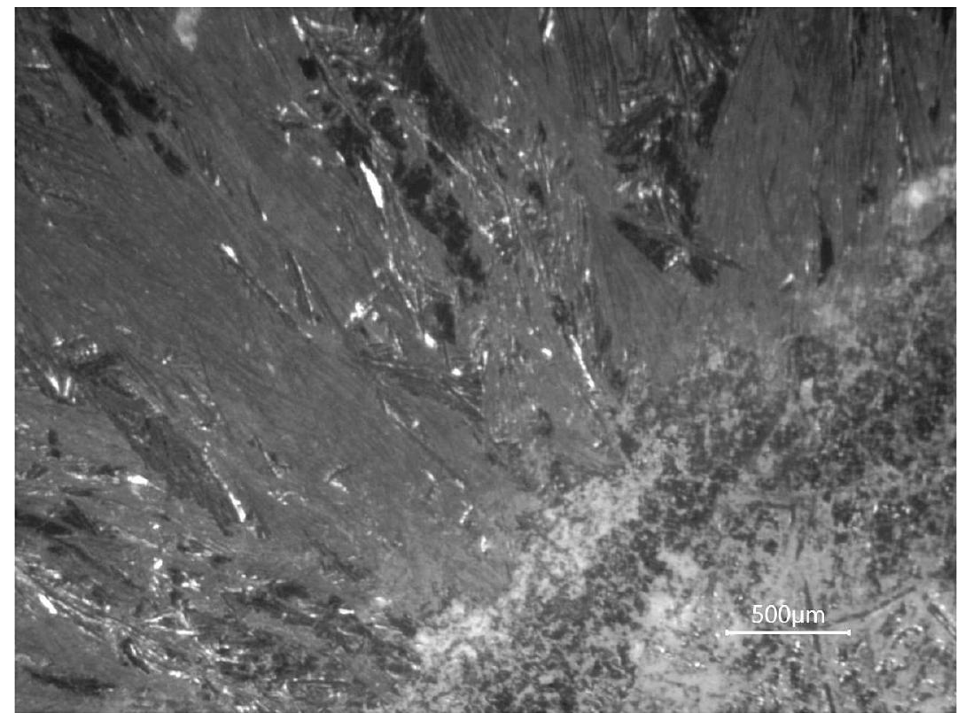Reflection light micrograph of polished sample of