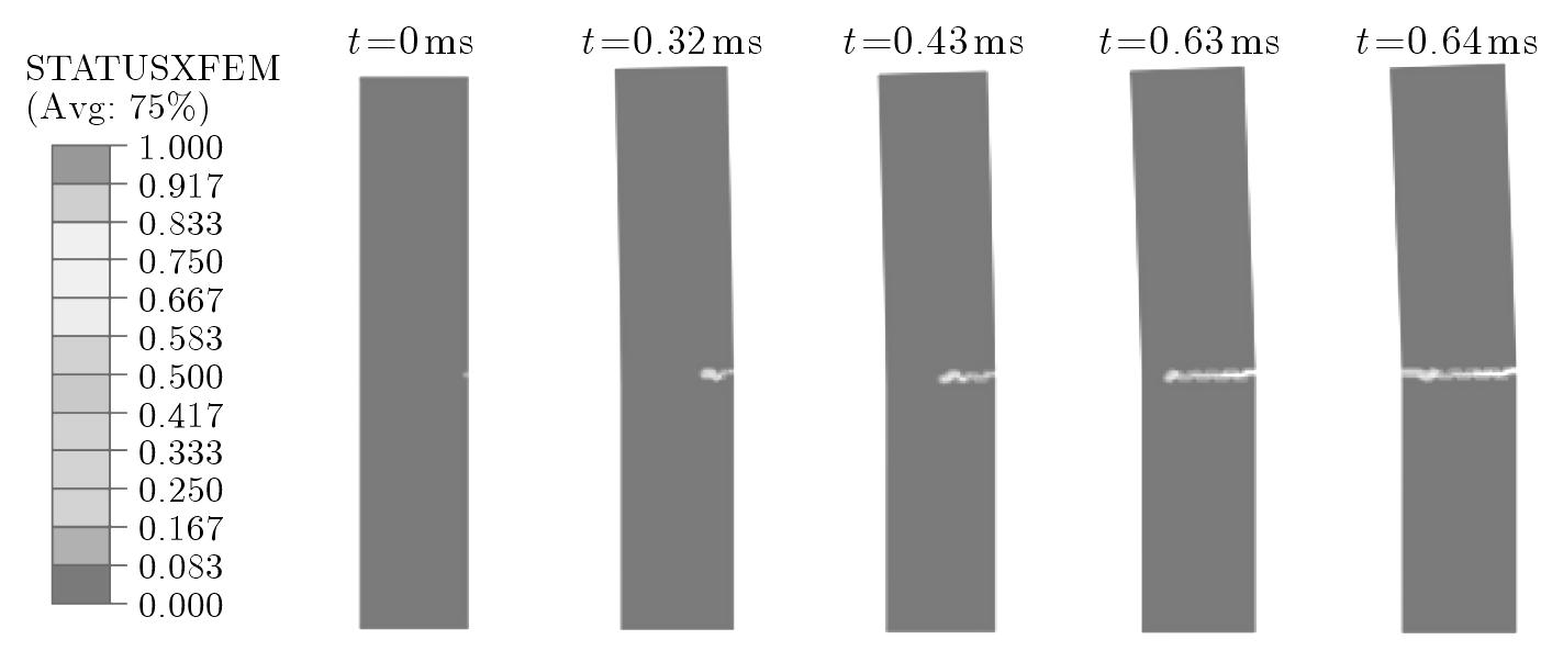 (PDF) Numerical modelling of impact fracture of cortical bone tissue ...