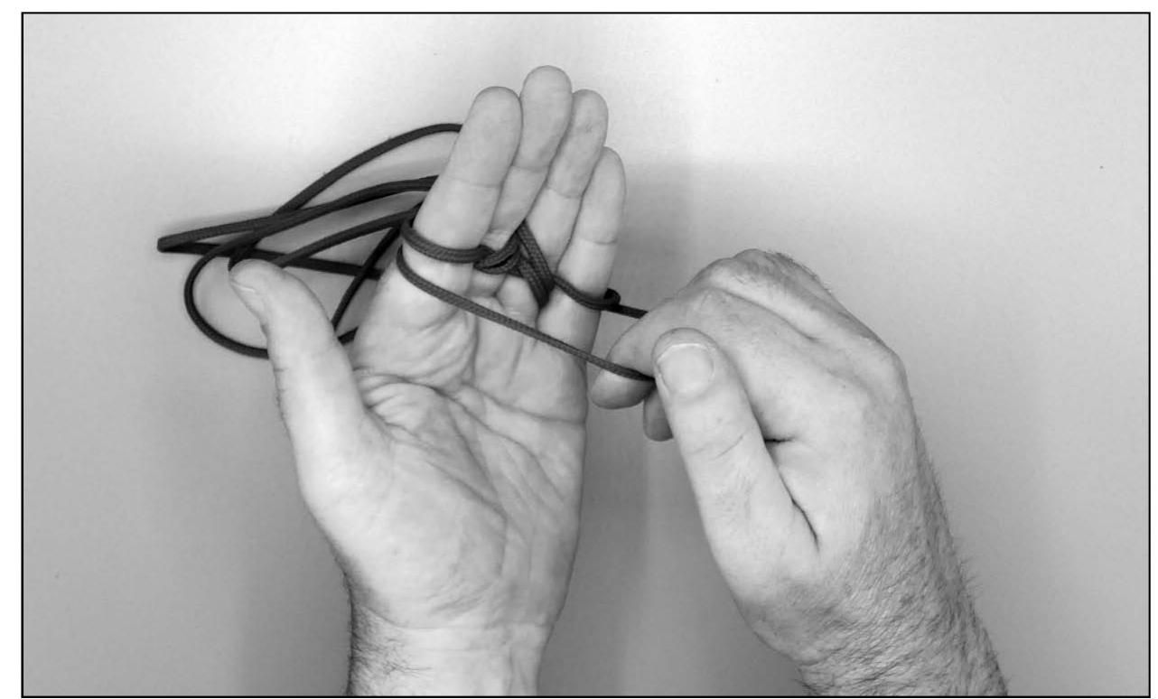 String Figure Pdf (PDF) A String Figure Collection from Poland