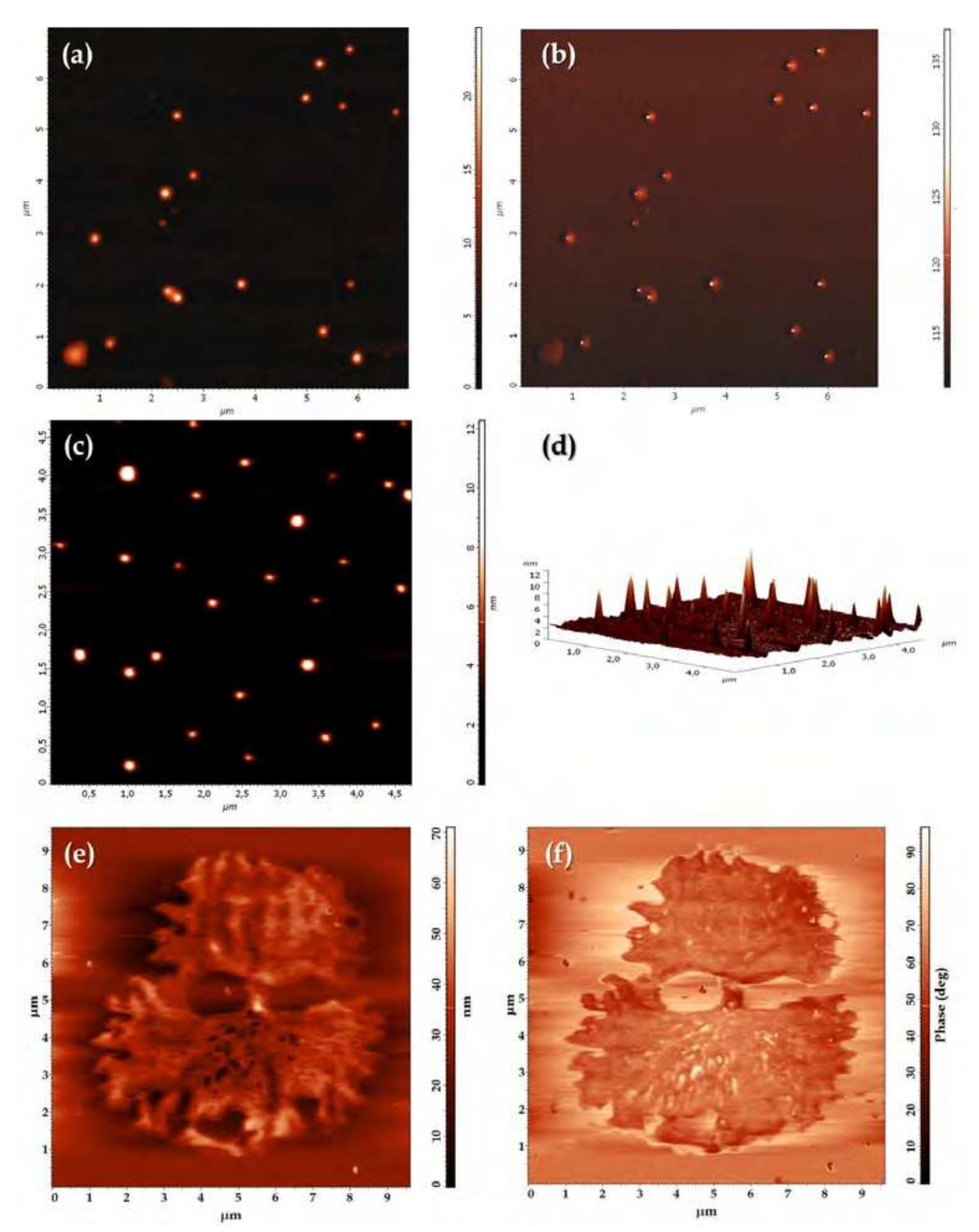(PDF) AFM Measurements to Investigate Particulates and Their ...