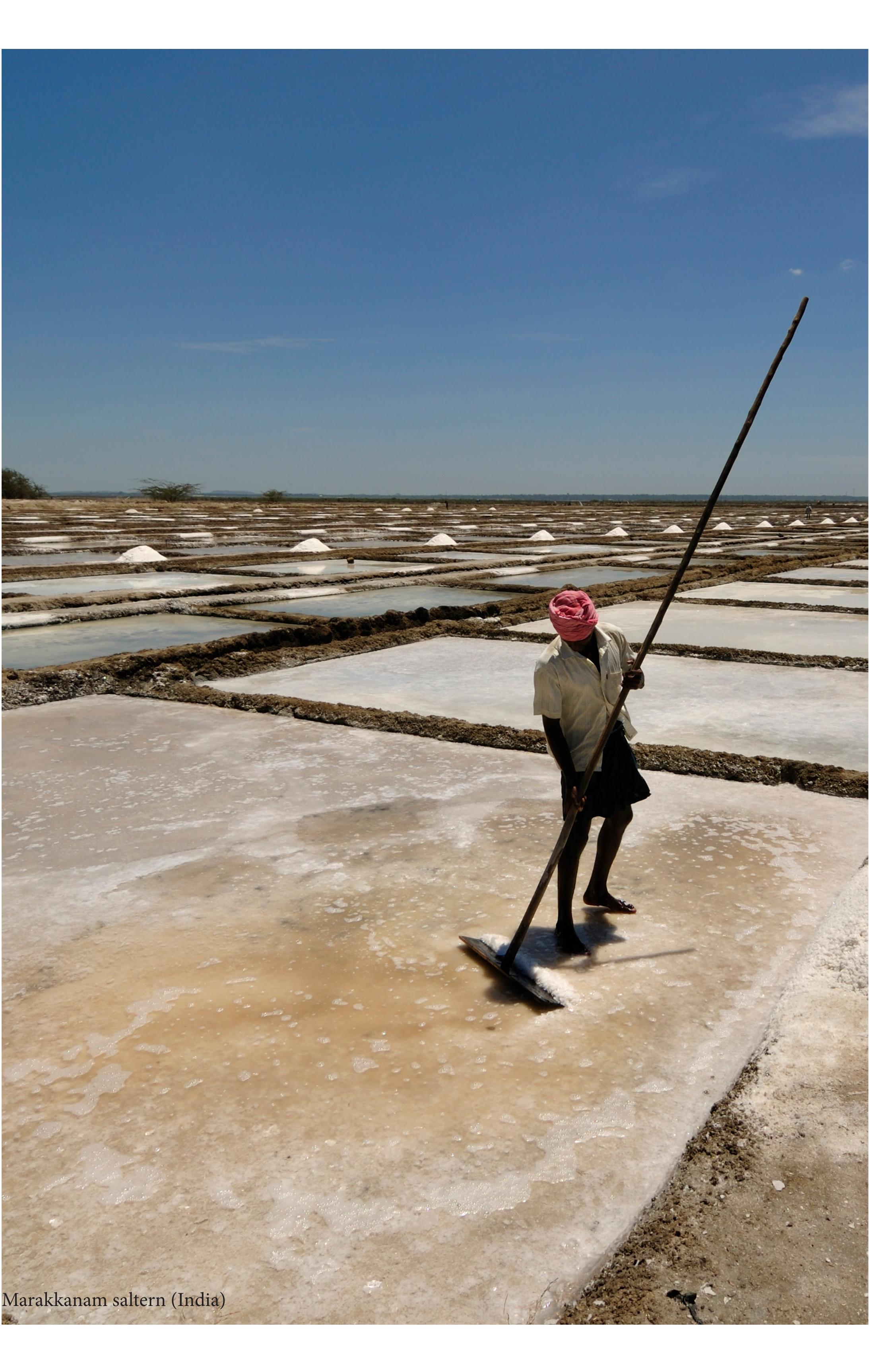 Figure 2 - from The salt of Rome. Remarks on the production,