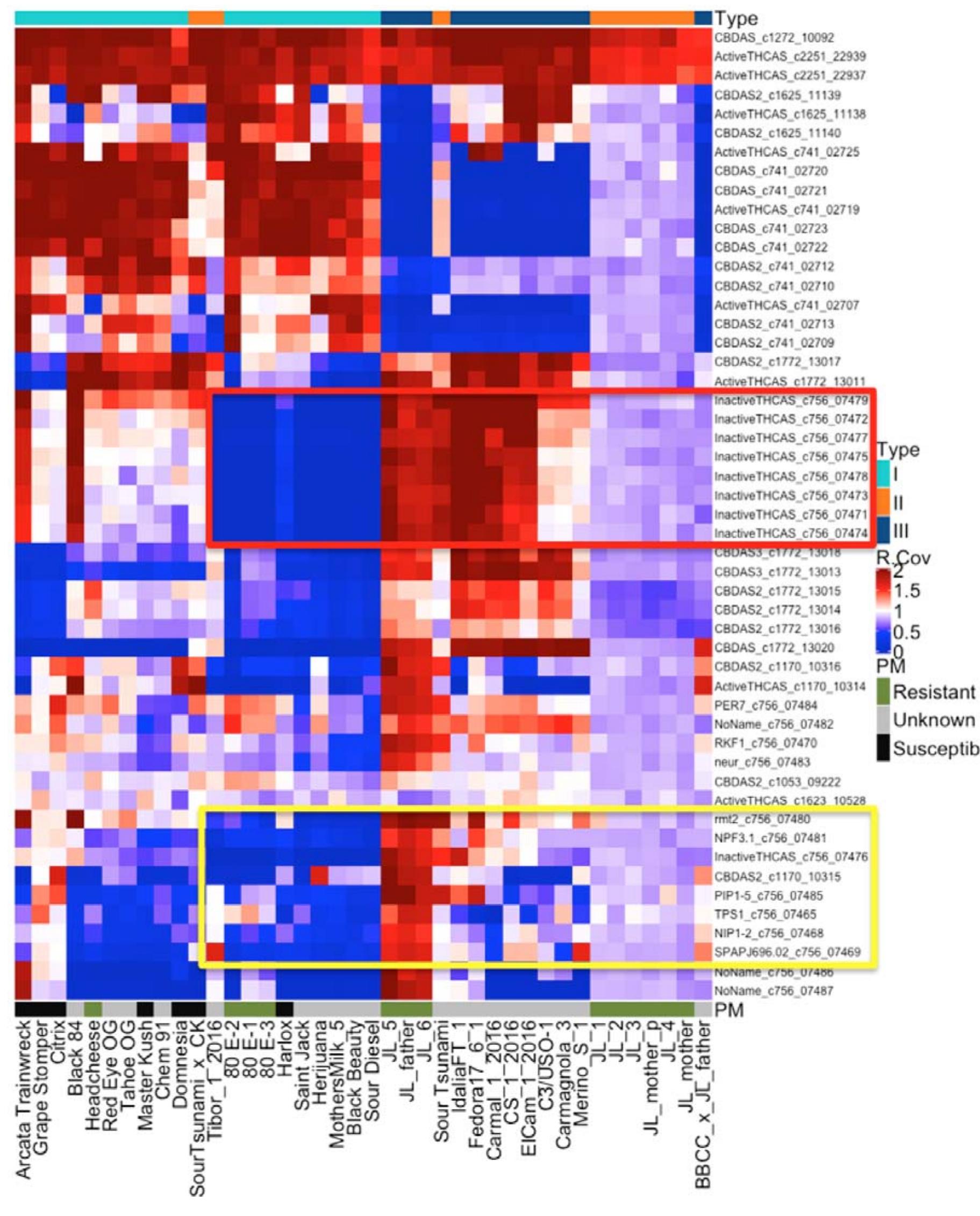 (PDF) Sequence and annotation of 42 cannabis genomes reveals extensive ...