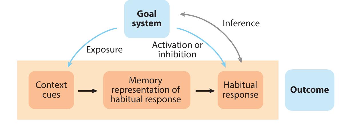 (PDF) Psychology of Habit