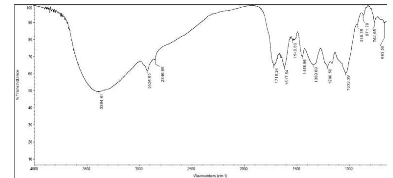 (PDF) Determination of Antibacterial, Antifungal, Bioactive ...