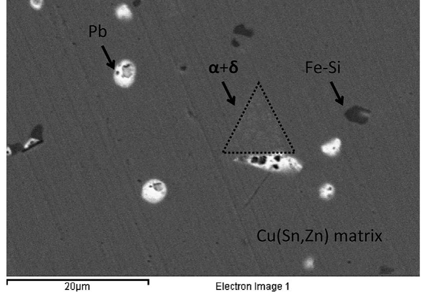 Fig. 5. SEM backscattered electron image showing typical microstructural features of the alloy (fragments from the muscled cuirass).  As regards the Zn concentration, the measured value is relatively high by comparison to other reference objects of comparable date, typology and cultural affiliation (i.e. Cu-based Roman military metalwork, Table 4). However, the Zn content is not higher than the conventional limit of 28 wt.%, above which brass should be regar- ded with suspicion [11], even though Zn content alone is not enough to authenticate brasses. As a matter of fact, Zn has been widely used as a chronological indicator for brass [12,13] because, before the production of Zn as a single metal (i.e. in the ancient and Mediaeval age), brass was produced by the so-called “cementation” process, i.e. by the reaction (in a reducing environment) of Zn ore with metallic Cu. By this process, the maximum Zn content in brass depends on temperature [14] and, notwithstanding differences in 