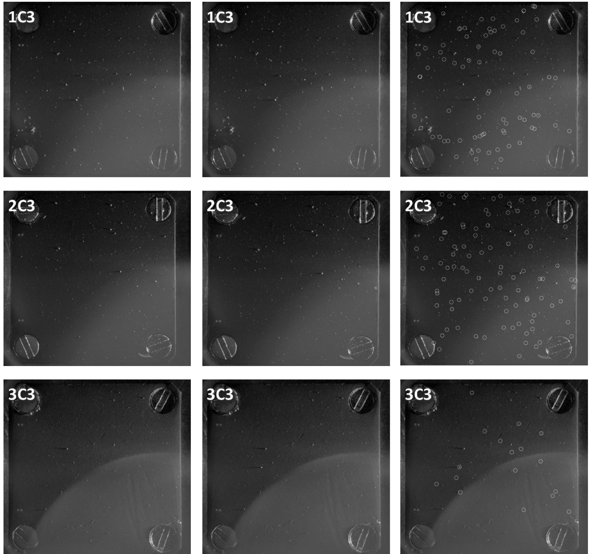 Cosiscope optical microscope images of targets. left column: