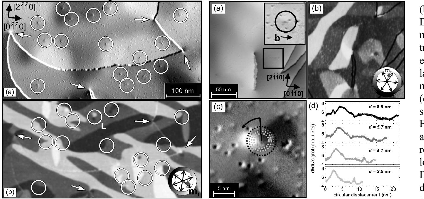 These patterns often resemble the spin structure formerly