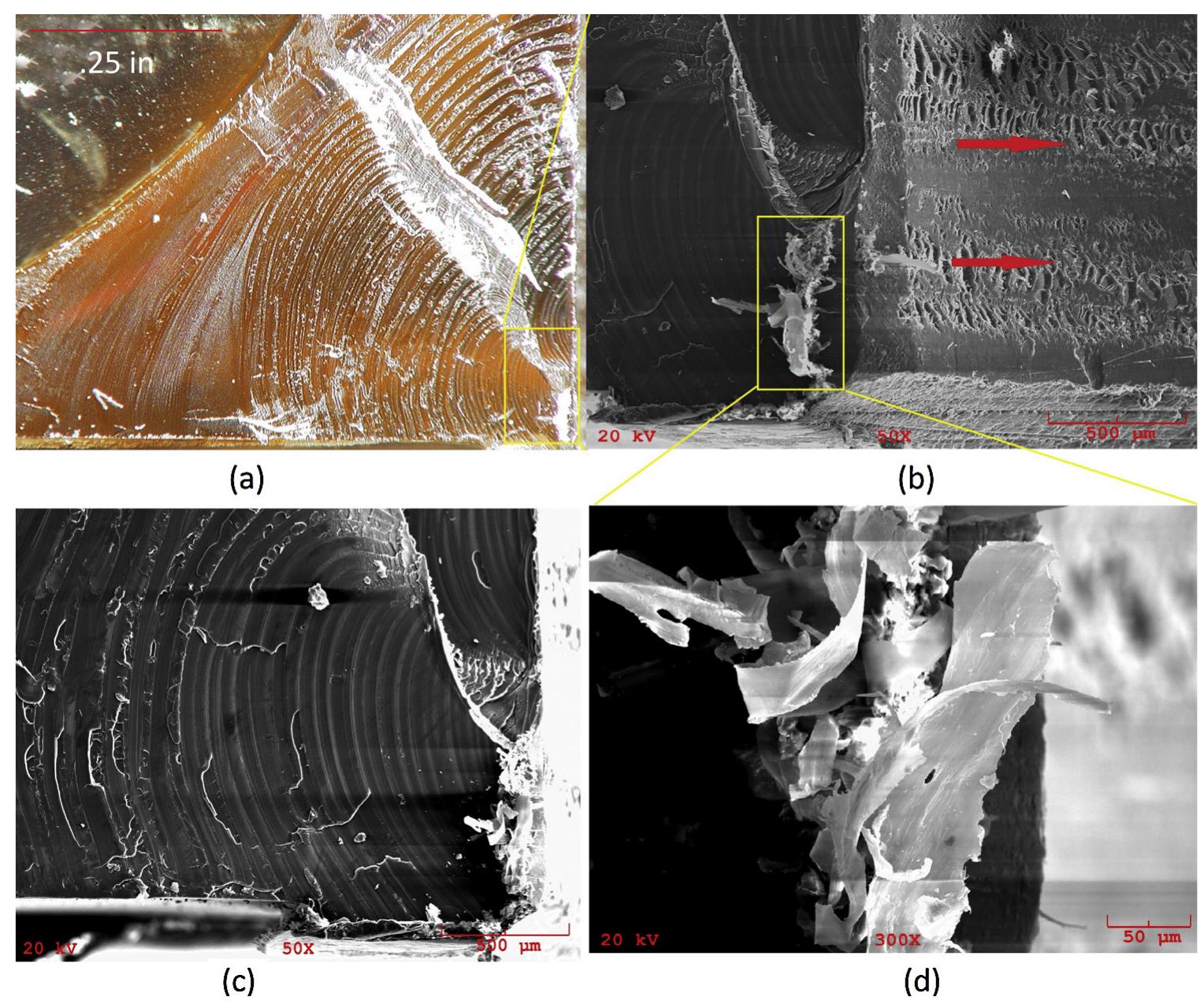 (PDF) Failure Analysis of a Polymer Centrifugal Impeller
