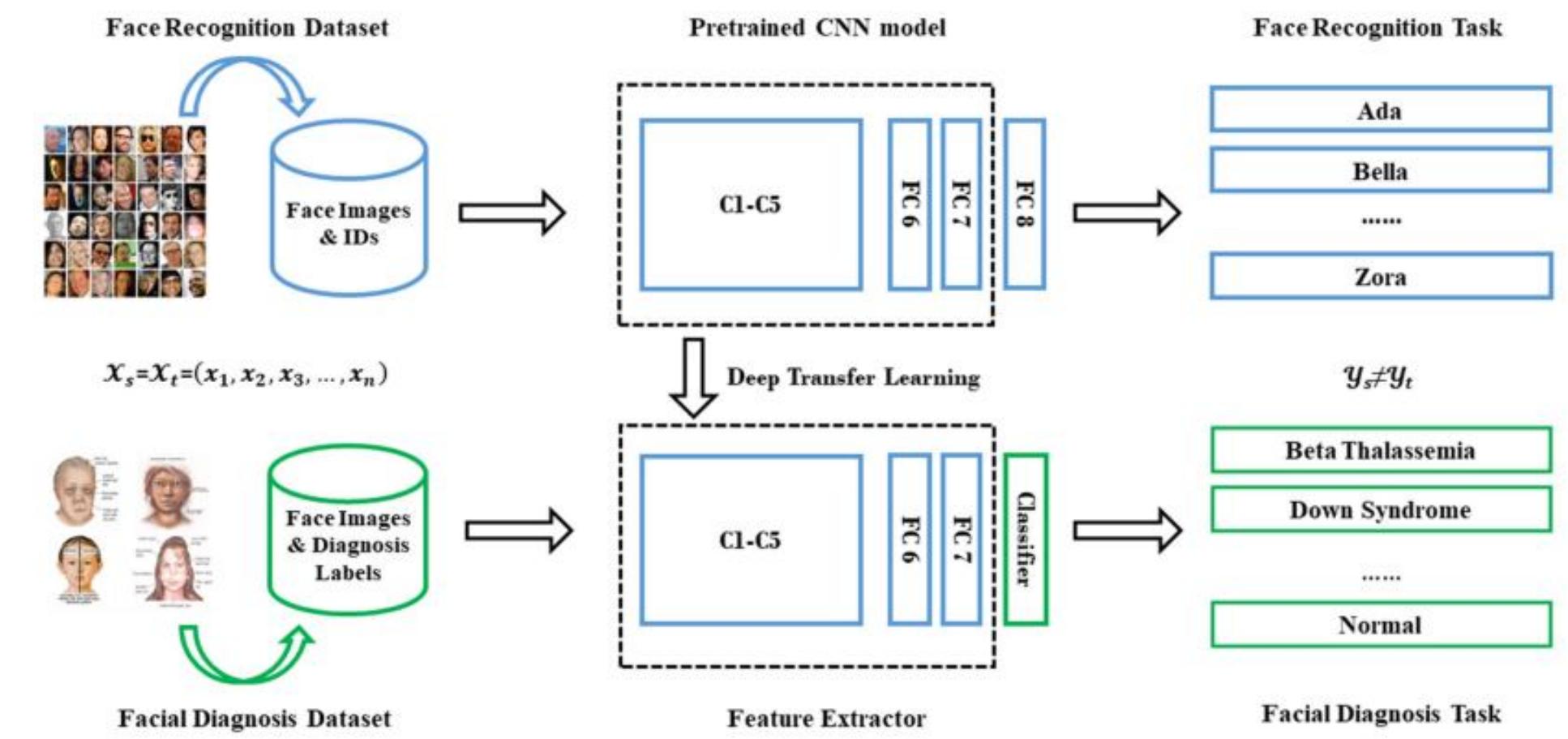 (PDF) Diagnosis of Facial Recognition Using Deep Transfer Learning