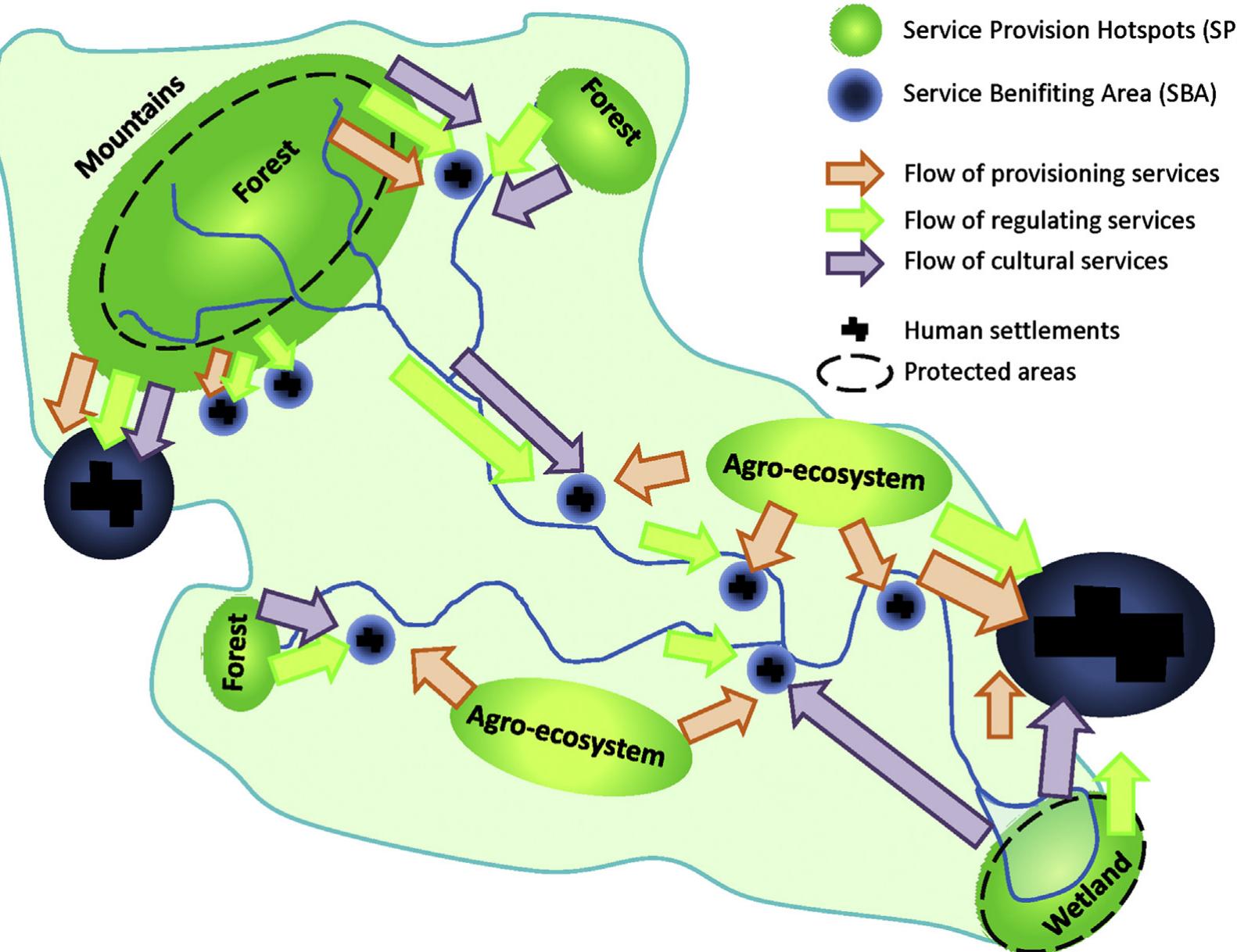 Ecosystem Simplification (PDF) National Parks, buffer zones and surrounding lands: Mapping ...