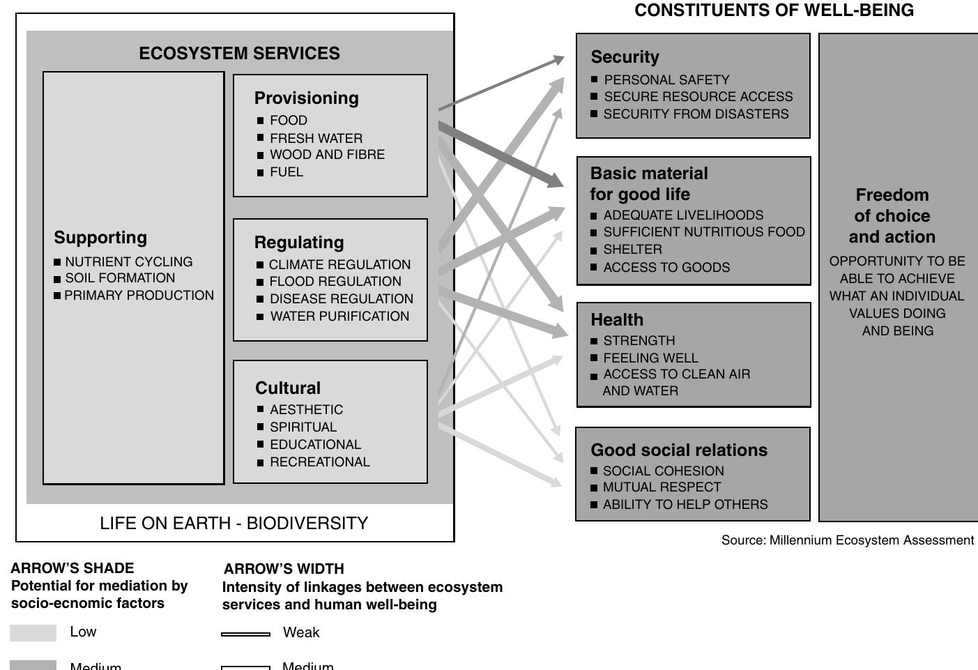 (PDF) The links between biodiversity, ecosystem services and human well ...