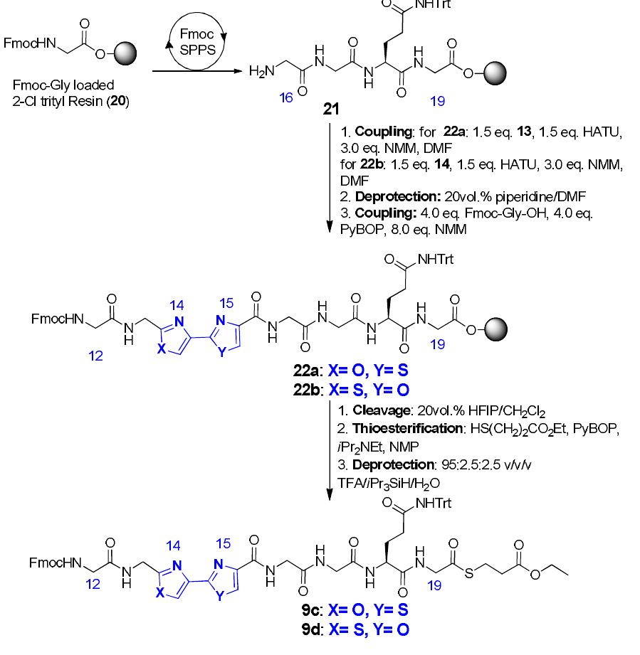 Spps Capping (PDF) Synthesis of full length and truncated microcin B17 analogues as ...