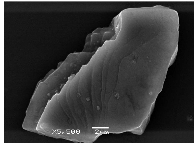 (PDF) A comparative SEM morphological study of biogenic and abiogenic ...