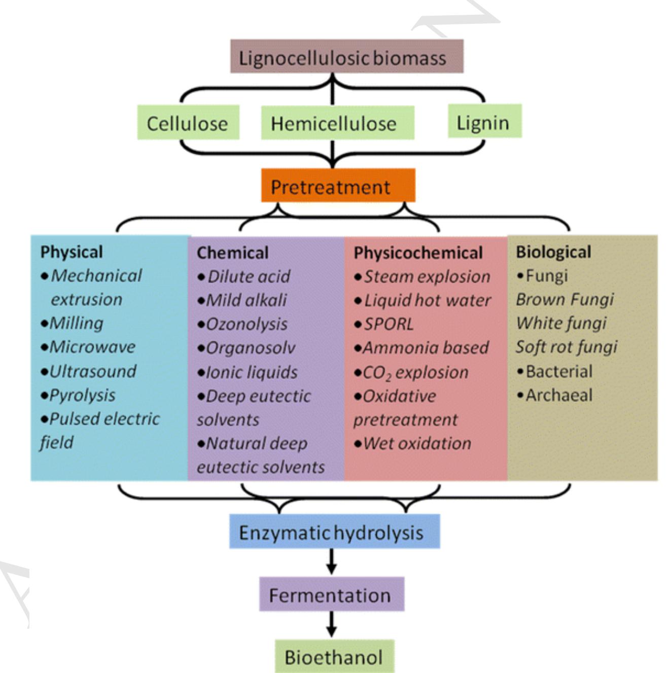 (PDF) Recent advances in the pretreatment of lignocellulosic biomass ...