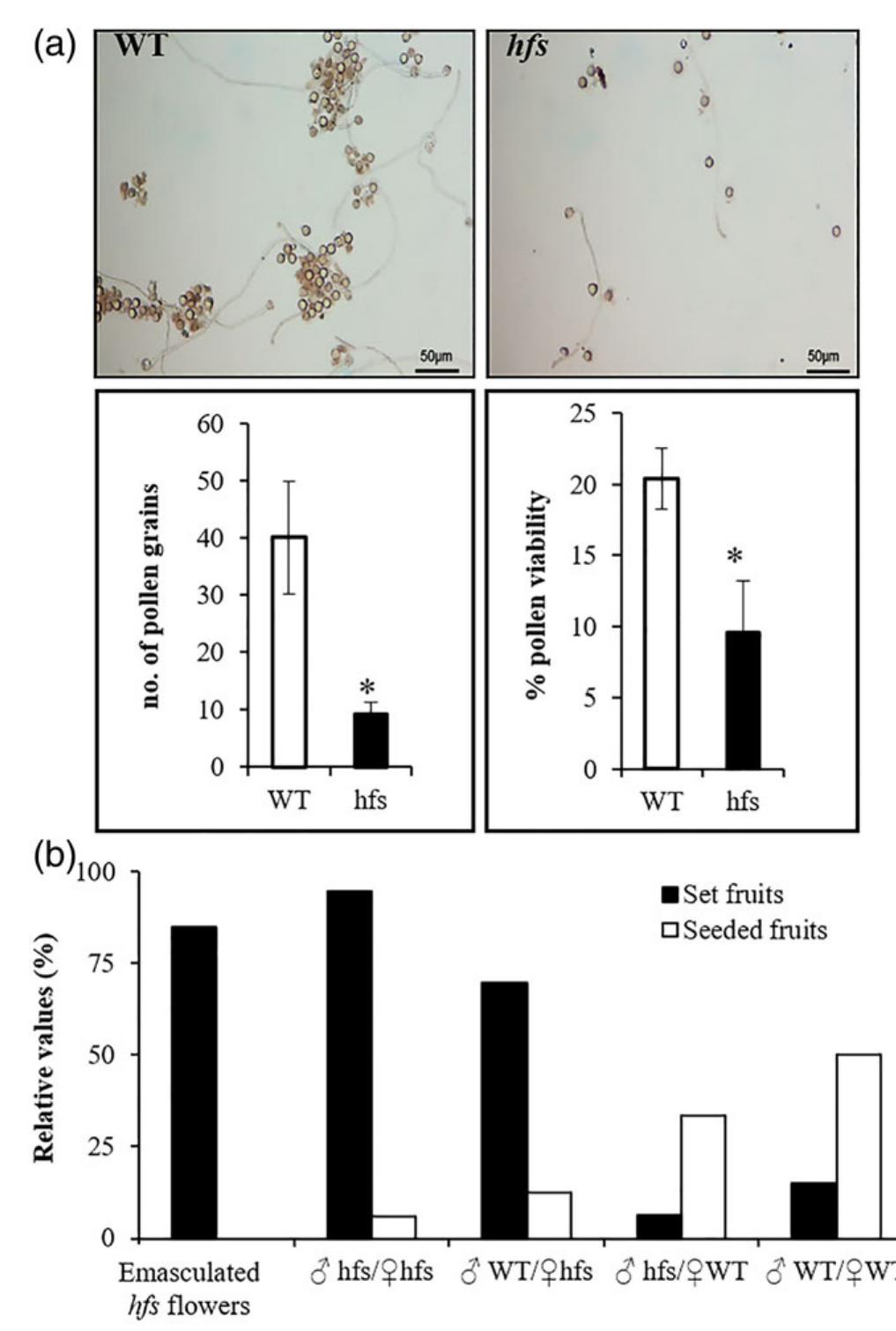 (PDF) Identification and characterisation of the tomato parthenocarpic ...