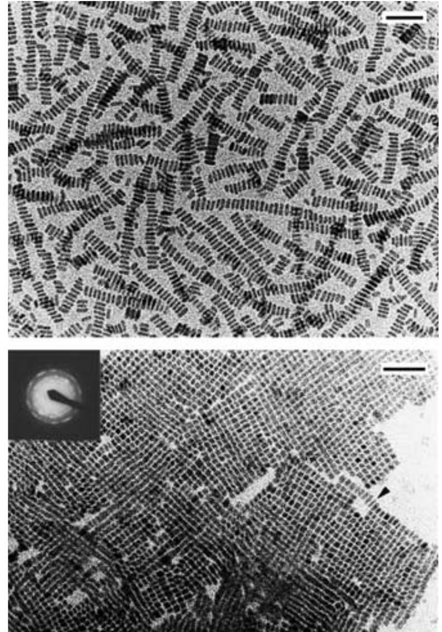 (PDF) Mesocrystals: Inorganic Superstructures Made by Highly Parallel ...