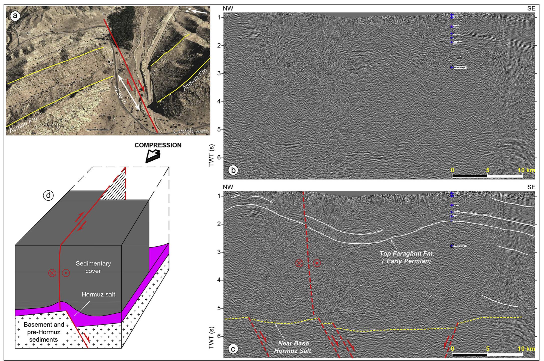 Conceptual and partly seismic-based cross-sections