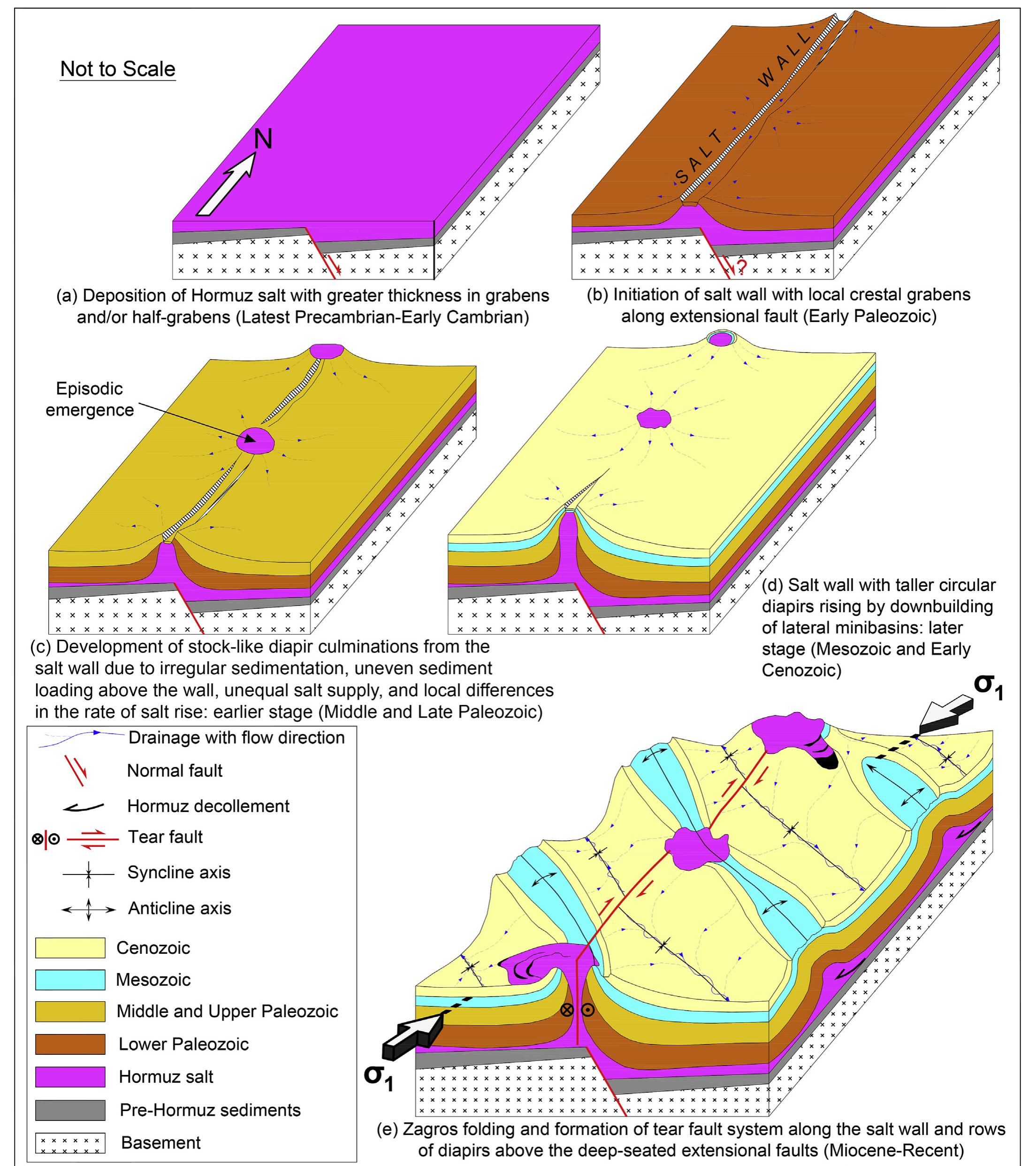 Figure 13 - from Salt tectonics and tear faulting in the