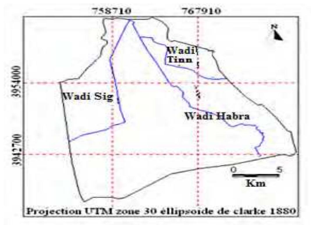 Fig. 2 Main wadis draining Macta marshes. 