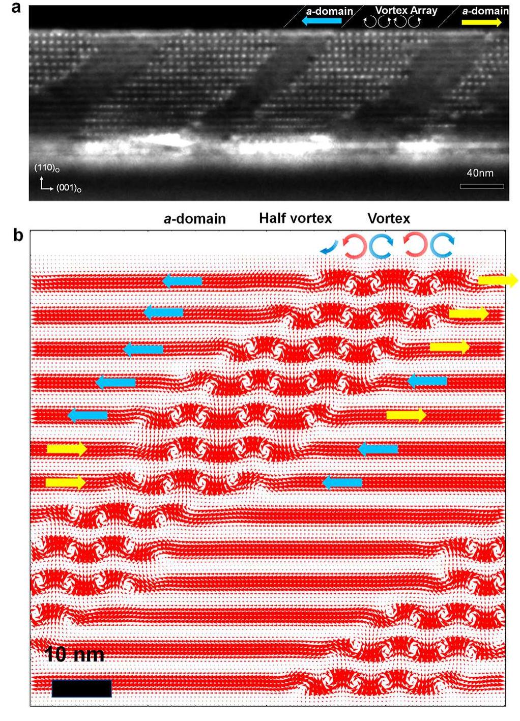 (PDF) Vortex Domain Walls in Ferroelectrics